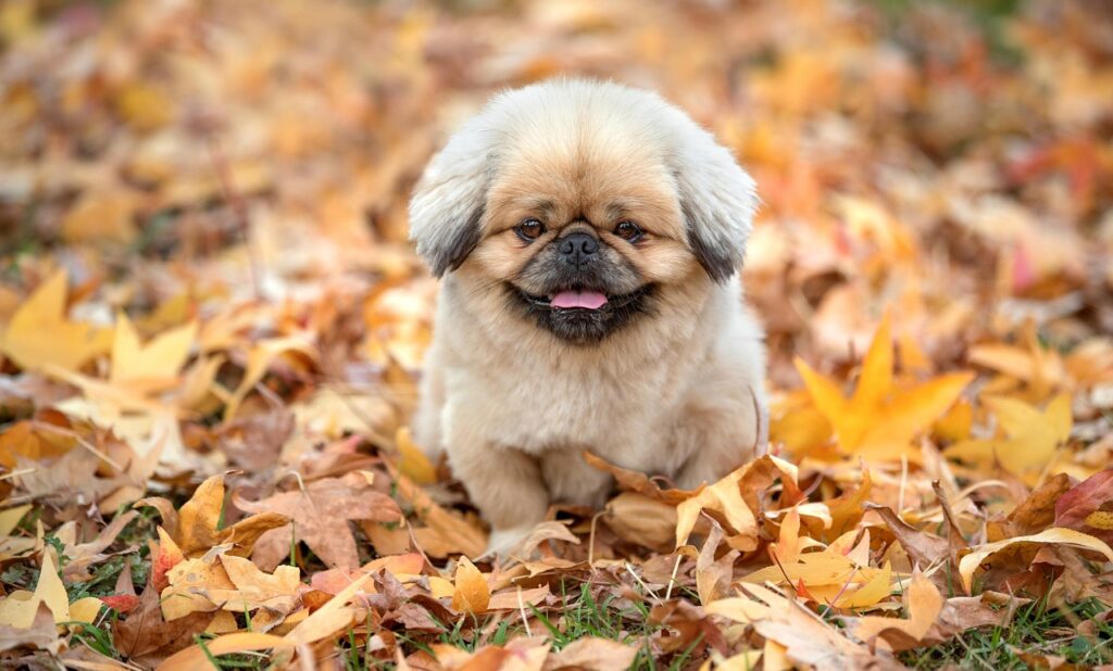 ビタミン不足が原因の舌苔はどう解消する？