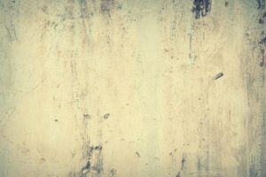 舌苔の高齢者における予防方法とは？