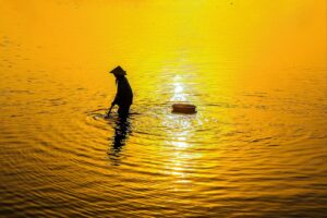 舌苔が生成される理由とは何ですか？