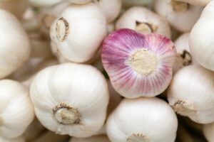 舌苔が原因の口臭、にんにく以外に考えられる理由は？