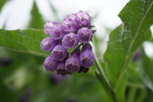 舌苔が原因の口臭を忙しくてもできる対策は？