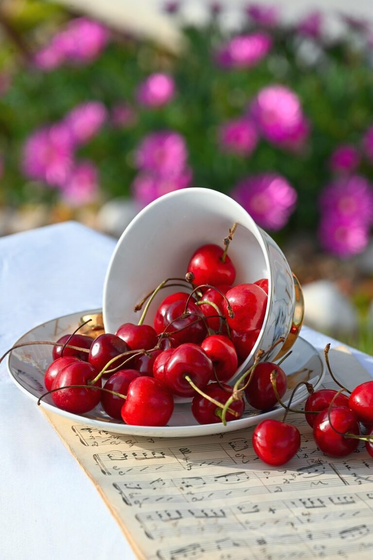 舌苔の取り除き方はこれで決まり！あなたの悩みを解消する方法は？